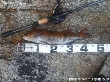 �����ʥ�