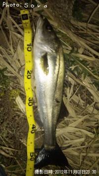 �����Х�