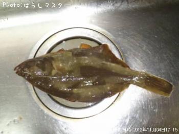 �������쥤