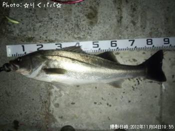 �����Х�