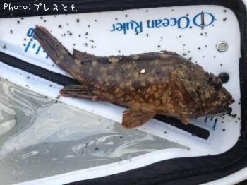 ¥¿¥±¥Î¥³¥á¥Ð¥ë