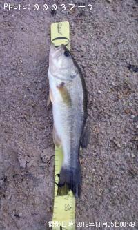 �֥�å��Х�