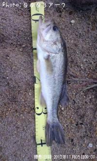 �֥�å��Х�