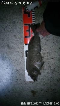 �����ʥ�