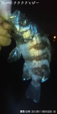 ��Х�������Х�