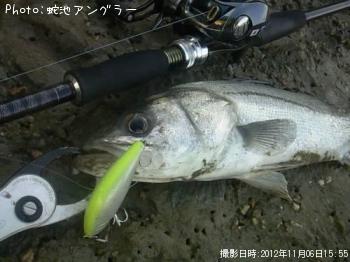 �����Х�