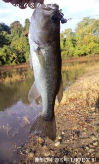 ¥Ö¥é¥Ã¥¯¥Ð¥¹