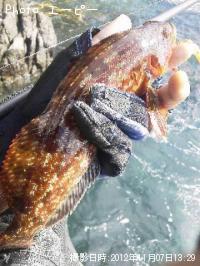 �����ʥ�