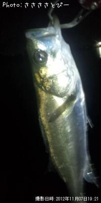 ��������Х�������Х�