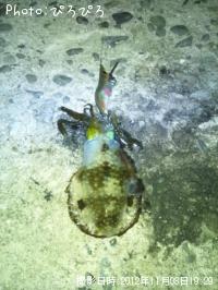 �����ꥤ��