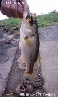 ¥Ö¥é¥Ã¥¯¥Ð¥¹