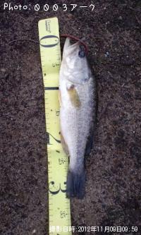 ¥Ö¥é¥Ã¥¯¥Ð¥¹