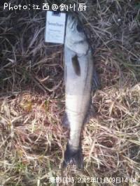 �����Х�