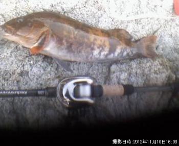 �����ʥ�