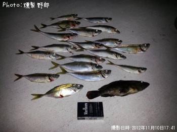 ¥¯¥¨¡õ¥¢¥¸