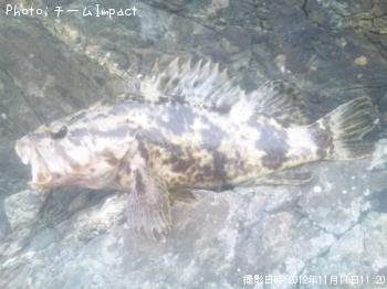 �����Υ���Х�