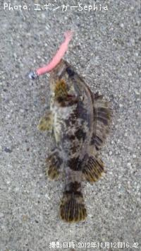 ¥¿¥±¥Î¥³¥á¥Ð¥ë