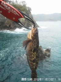 �����ʥ�