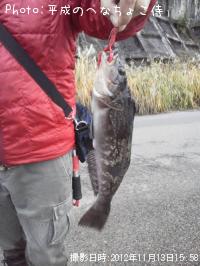 �����ʥ�