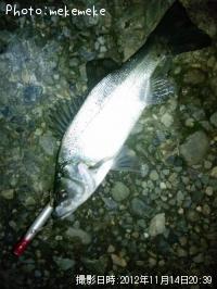 �����Х�