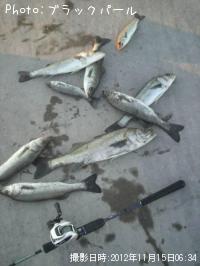 �����Х�