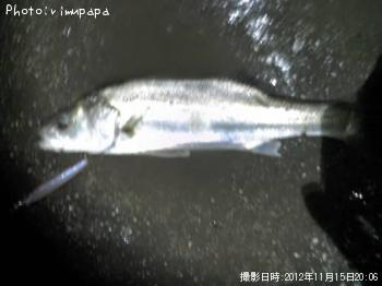 �����Х�