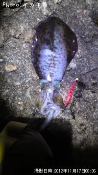 �����ꥤ��