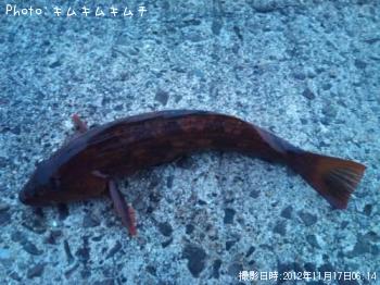 �����ʥ�