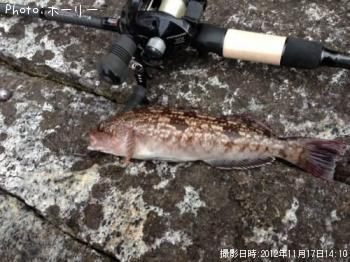 �����ʥ�