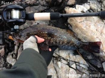 �����ʥ�