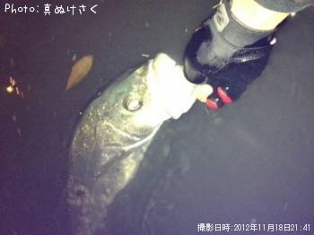 �����Х�