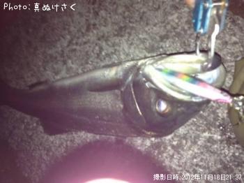 �����Х�