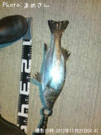 �����Х�