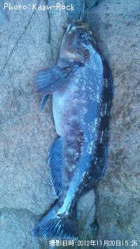 �����ʥ�