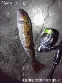 �����ʥ�