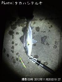 �����Х�