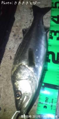 �����Х�