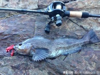 �����ʥ�