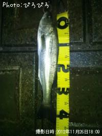 �����Х�