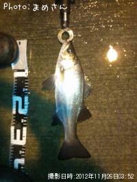 �����Х�