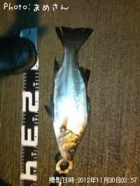 �����Х�