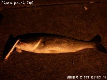 �����Х�