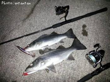 �ҥ饻����