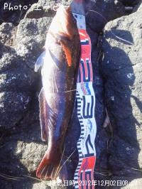 �����ʥ�