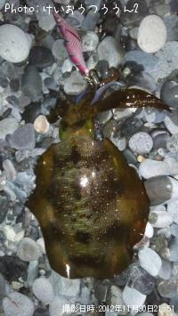 �����ꥤ��