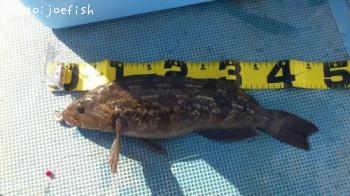 �����ʥ�