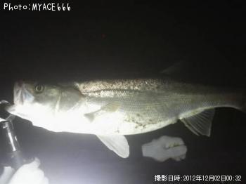 �����Х����˲��ʤ�