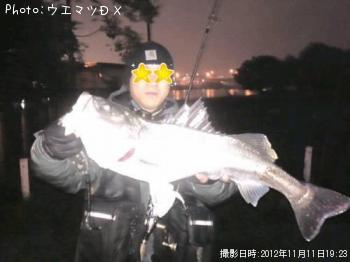 �����Х�