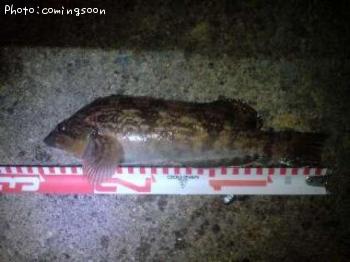 �����ʥ�