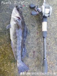 �����ʥ�